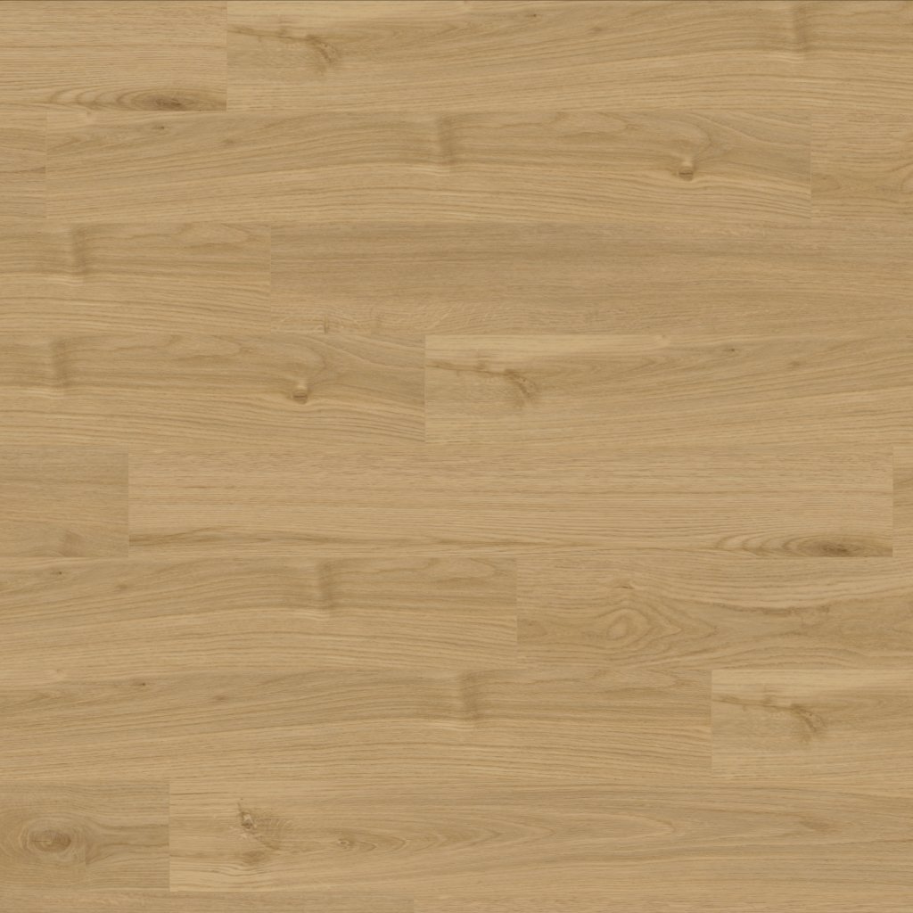 Canopy Oxford Oak