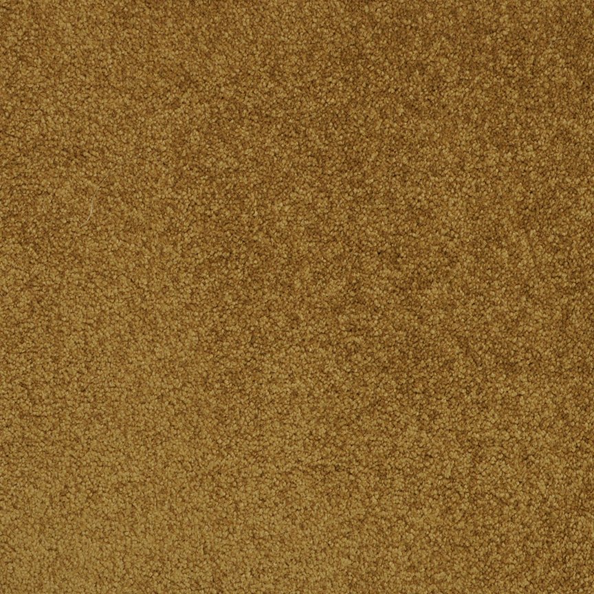 Masland Americana - Otter