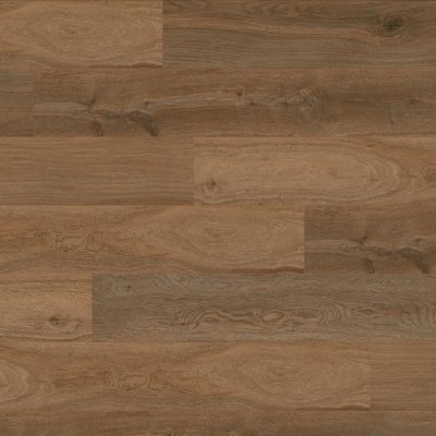 CALI Beacons Bark Longboards Icons Flooring - 9" x 72"