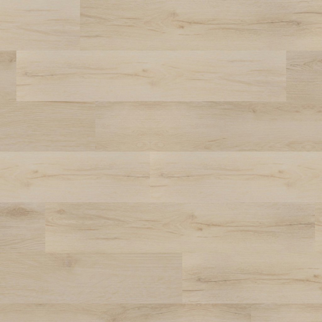 MSI Nove Reserve - Fallonton