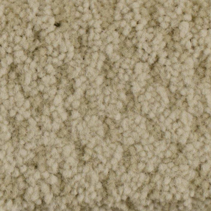 Masland Seurat - Canvas