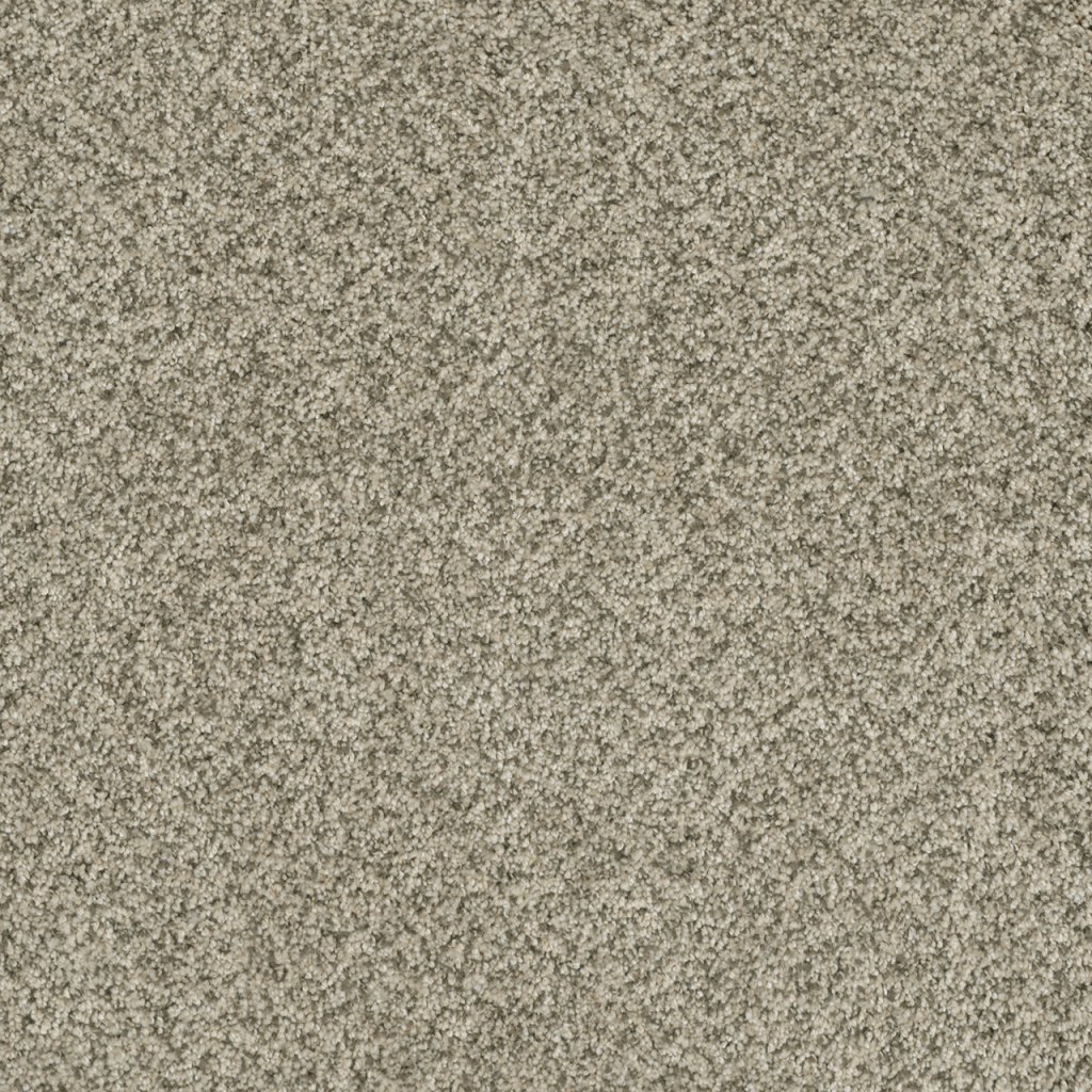 Dreamweaver BRAZEN I - Acadia 596