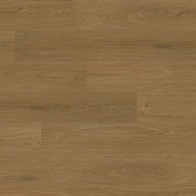 Canopy Salem Oak - 9" x 6ft