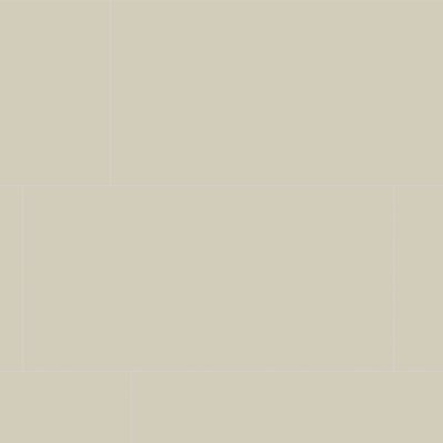 Qualis Ceramica Monoforma 24x48 Oasis Polished - 24" x 48"