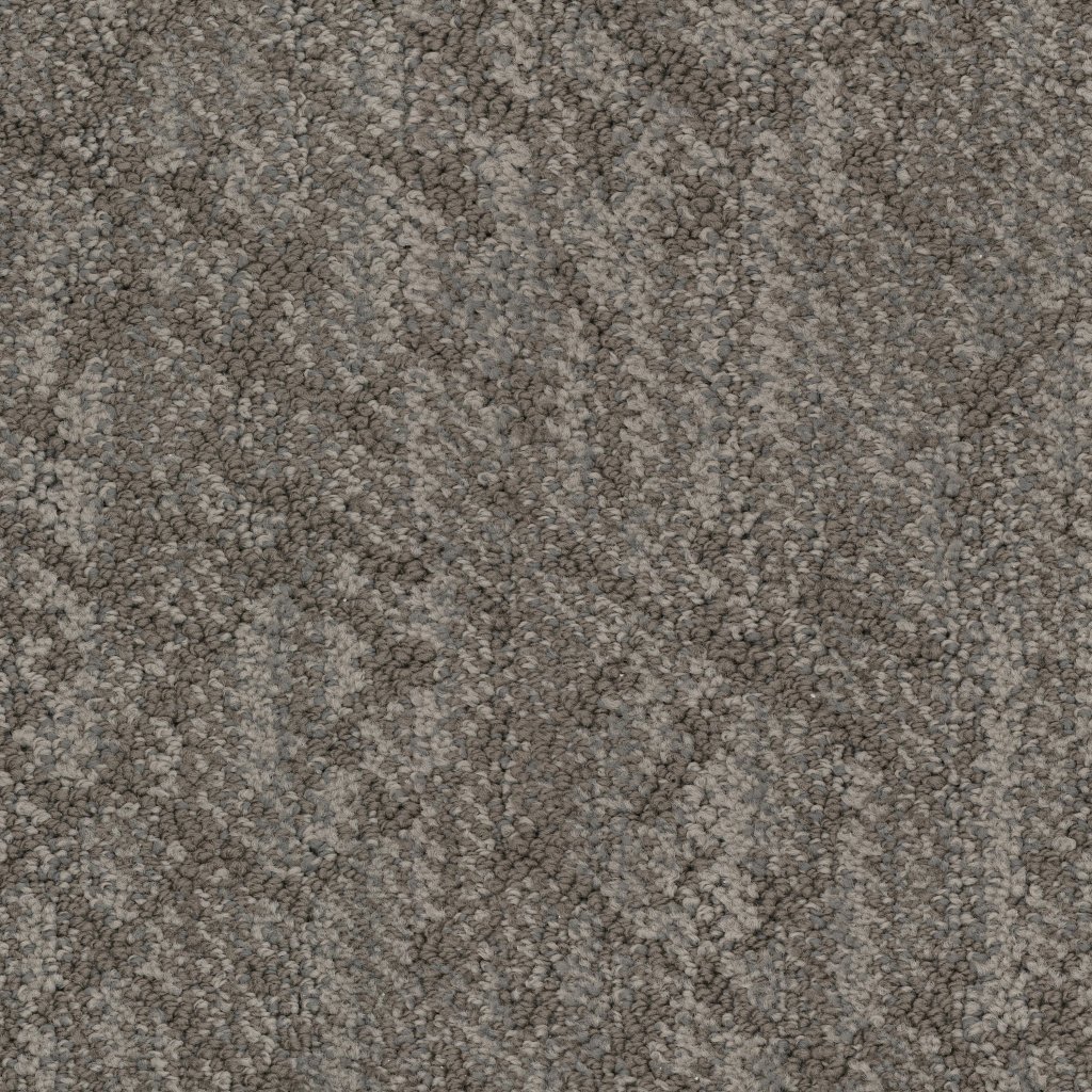 Masland Circuitry - Birch