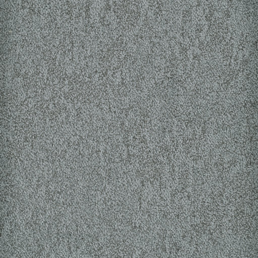 Masland Buena Vida - Carbon