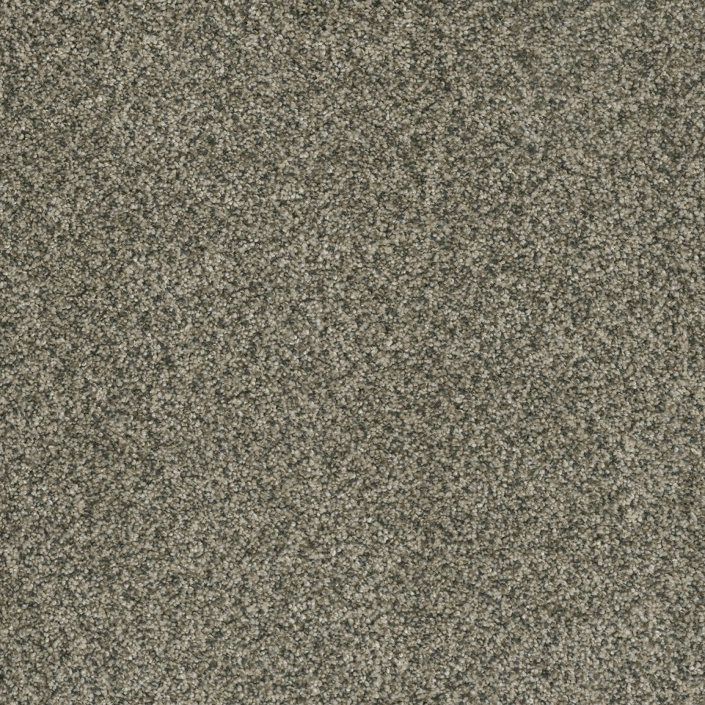Dreamweaver BRAZEN I - Pacifico 542
