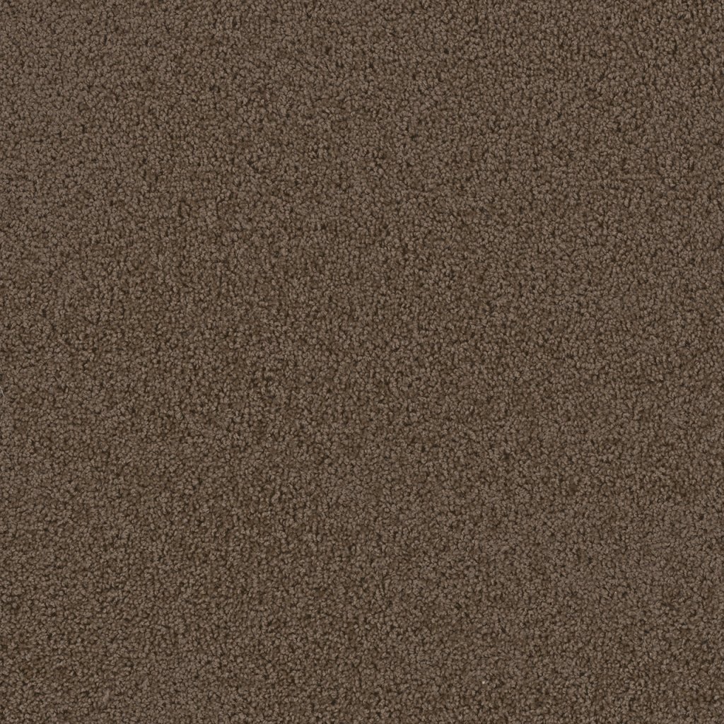 Dreamweaver FIRST STEP - Barnwood 550