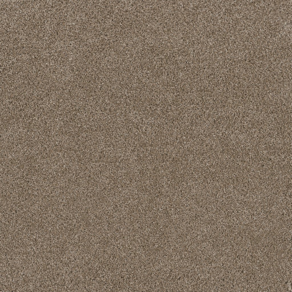 Dreamweaver STUNNING - Tumbleweed 883