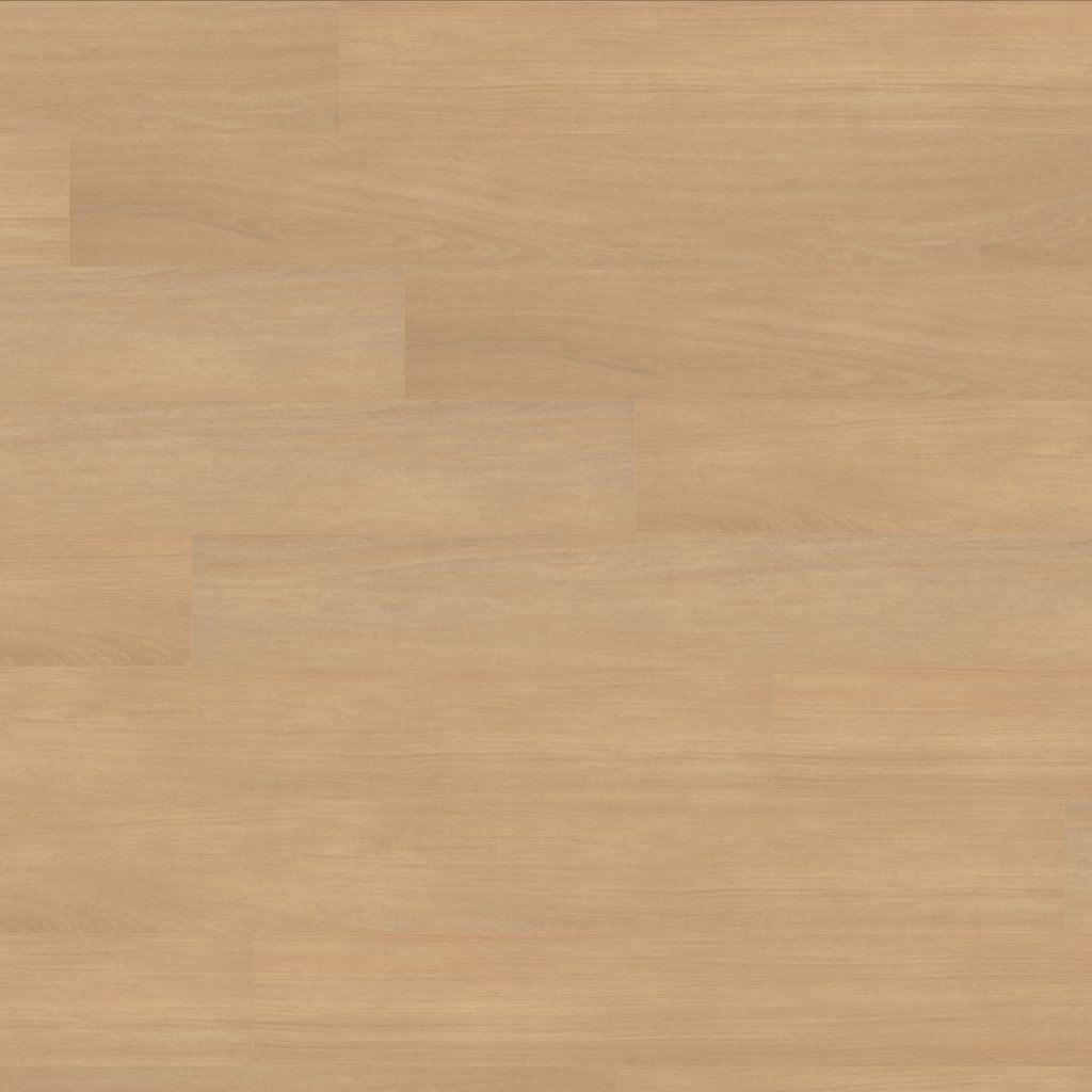 Canopy Ivory Oak