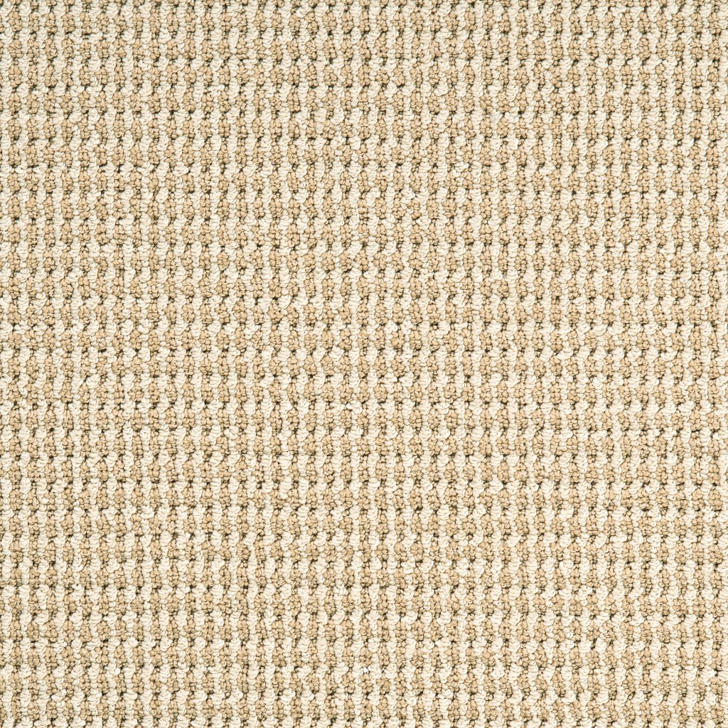 Masland Bandala Jazzed - Beachwood