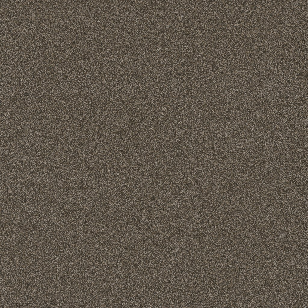Dreamweaver BLAZER III - French Roast 5133