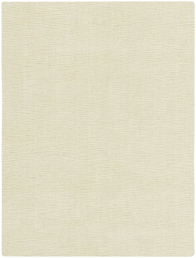 Nourison Home Nourison Strata SSS01 9'9" x 13'9" Ivory Farmhouse Indoor Rug - 2' x 3'