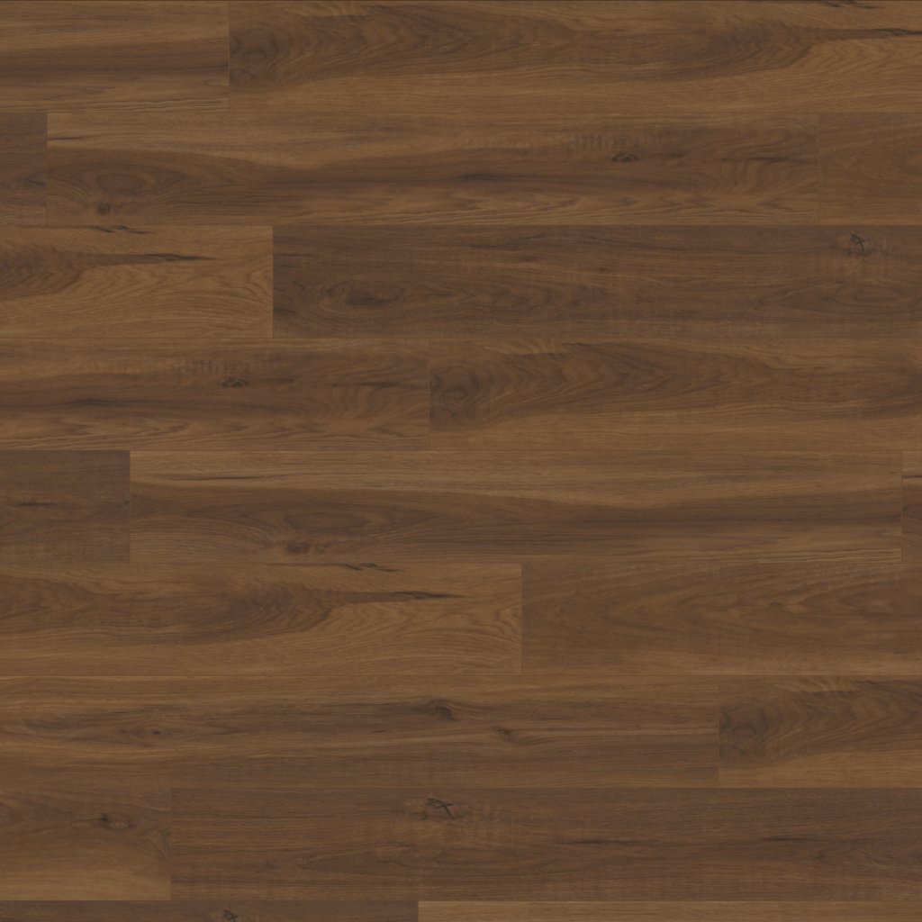 Canopy Piedmont Hickory