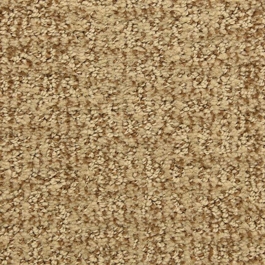 Dixie Home Aspects - Avenue