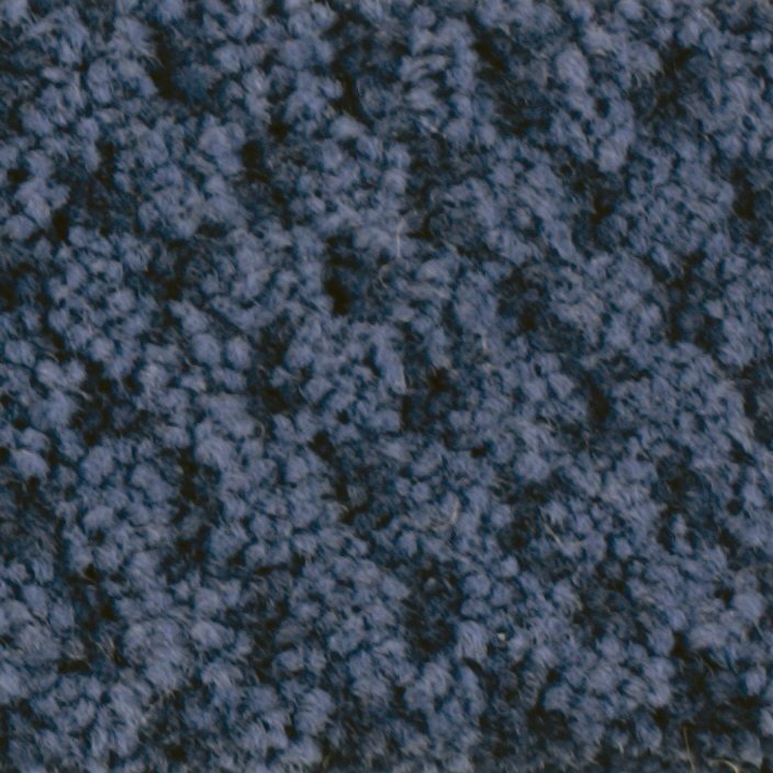 Masland Seurat - Cobalt