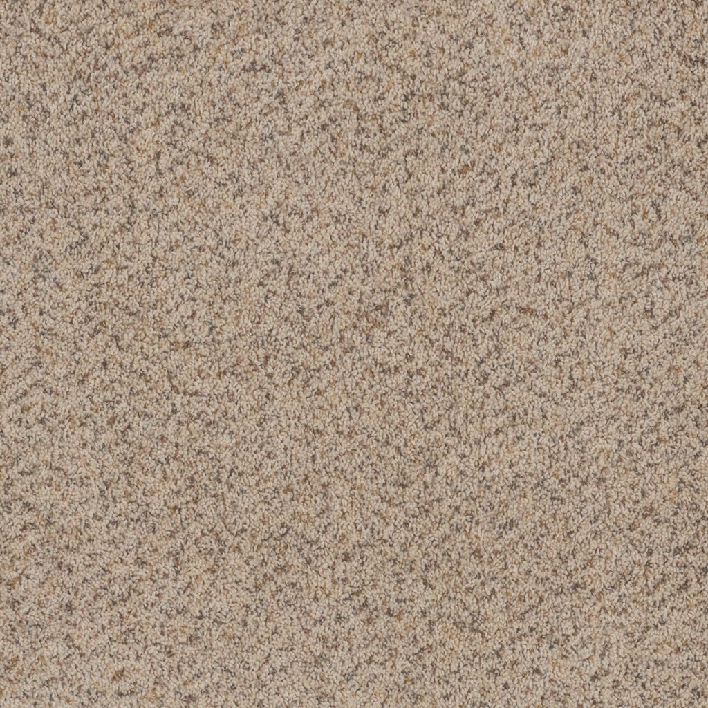 Dreamweaver TOAST OF THE TOWN - Winter Blanket 106