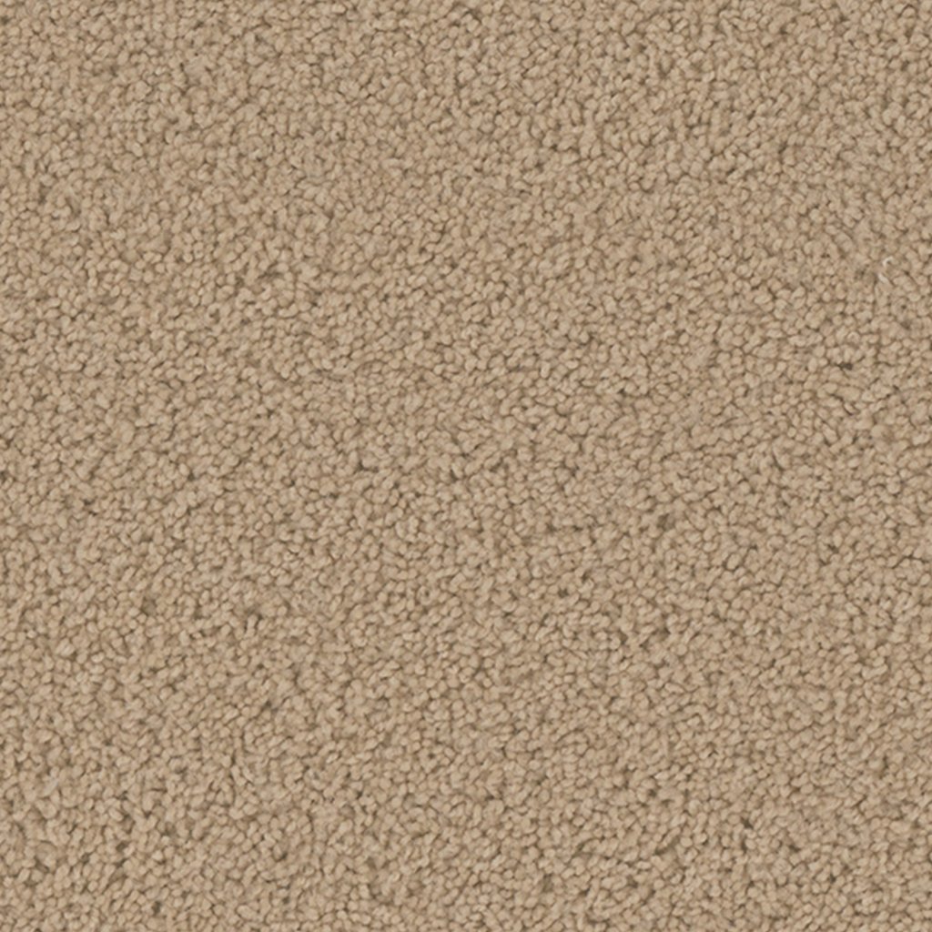 Dreamweaver SP250 - Cookie Dough 705