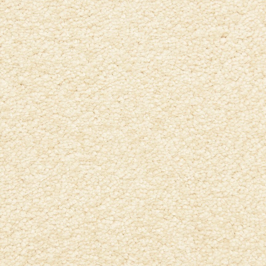 Masland Fairhope - Sugar Sand
