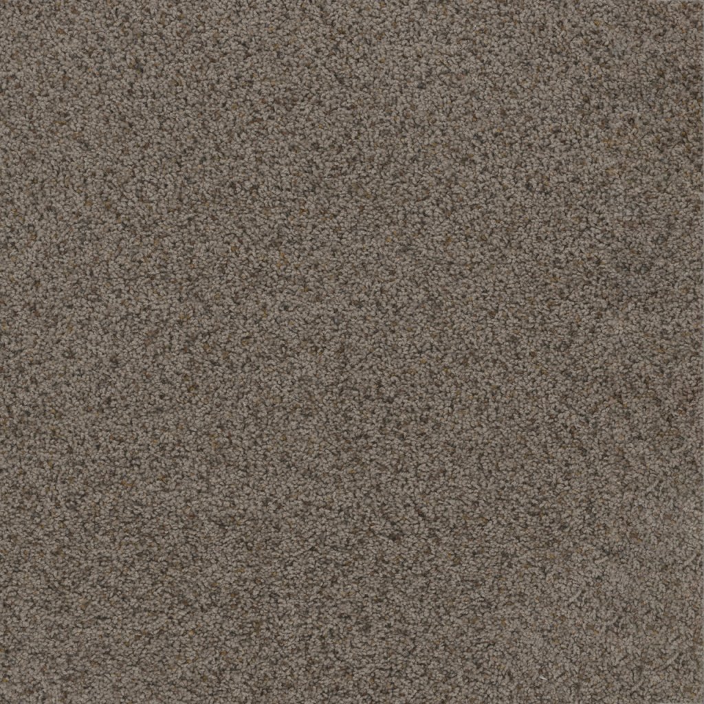 Dreamweaver TOAST OF THE TOWN - Rugged Suede 808
