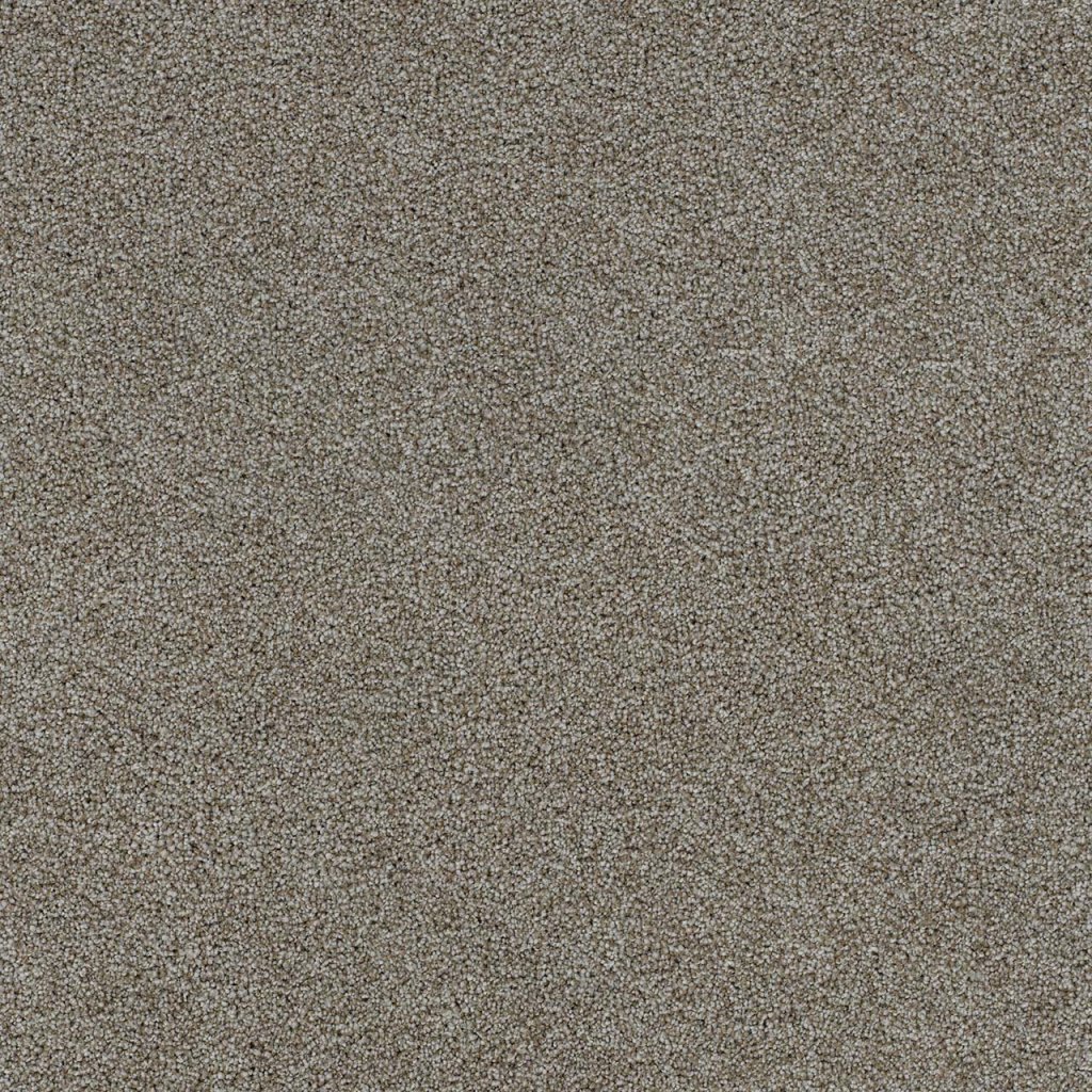 Dreamweaver MORNING GLORY III - Edgecomb 4052