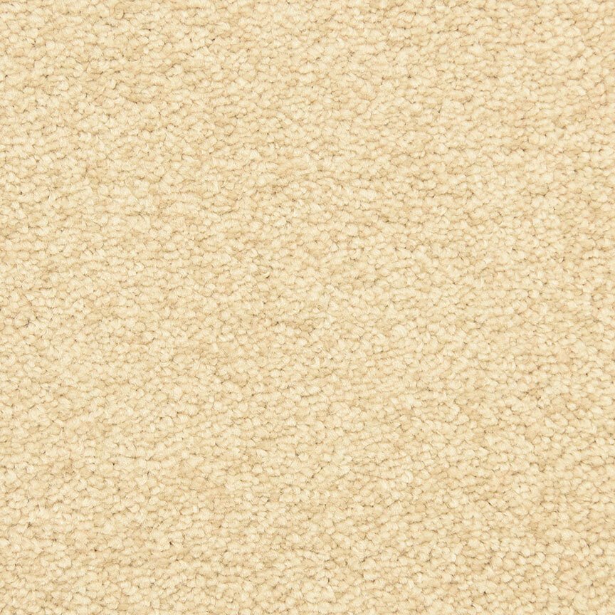 Masland Montrose - Brazil Nut