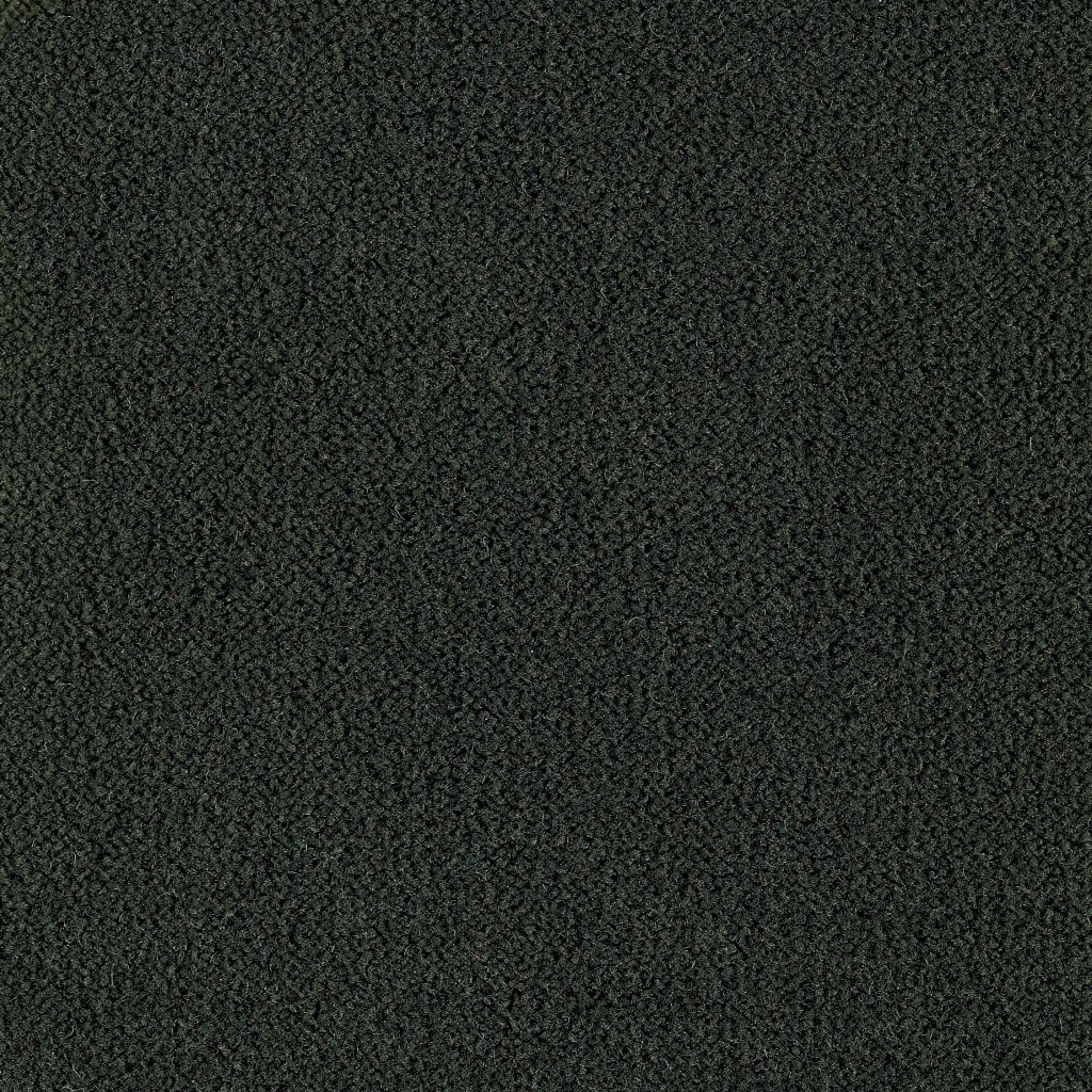 Masland Panache - Black Forest