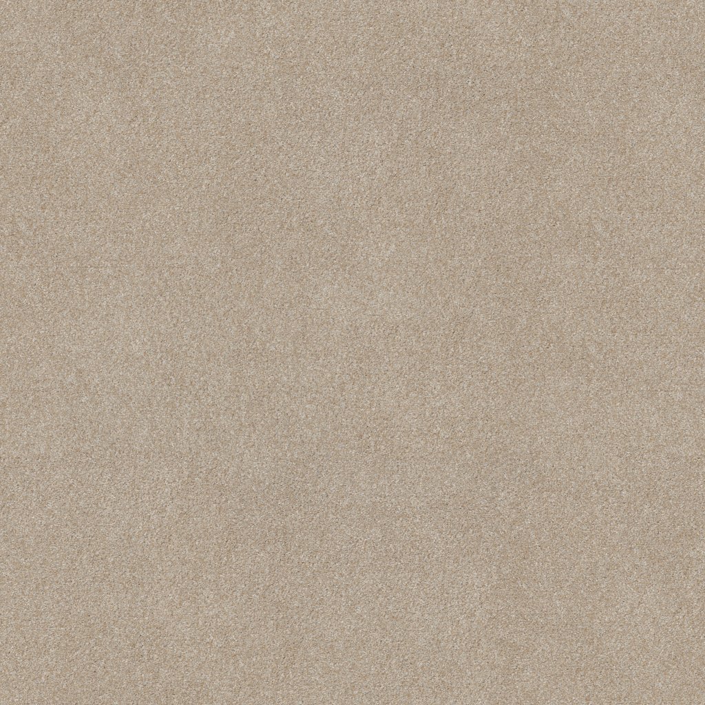 Shaw Floors Good Idea - Practical Beige