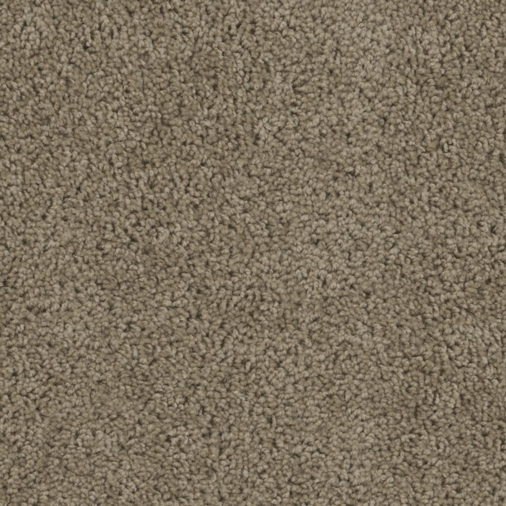 Dreamweaver SP250 - Honey Beige 510