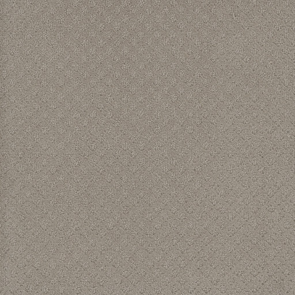 Dreamweaver CAPRI - Arrowhead 6827