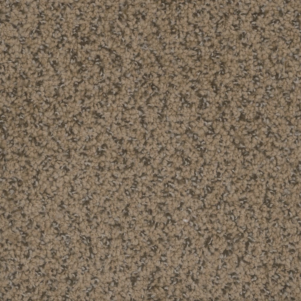 Dreamweaver STEP UP - Fawn 759