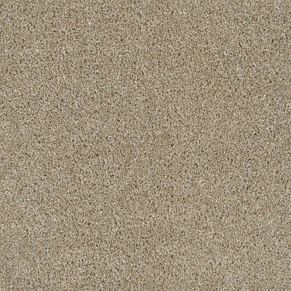 Dreamweaver ACCLAIM - Outback 298