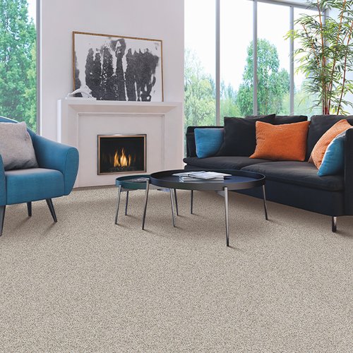 Stylish carpet in Phoenixville, PA from Floors USA