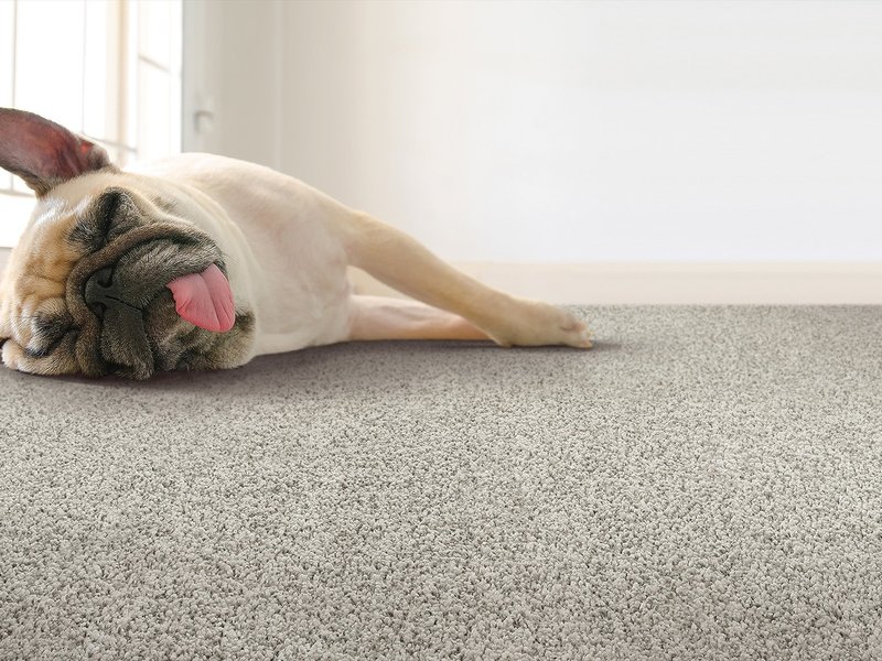Tips From The Flooring Pros: How Long Does It Take To Install Carpet?